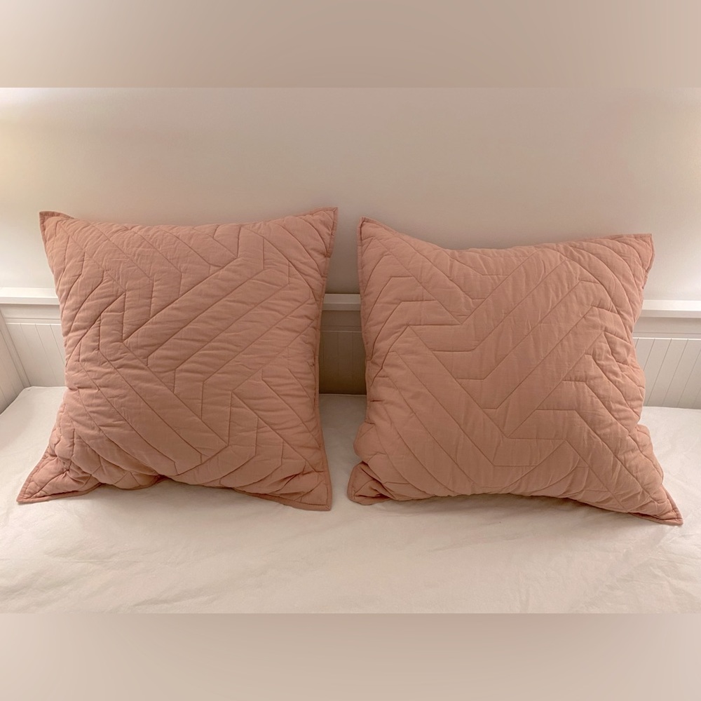 West Elm Organic Deco Euro Shams